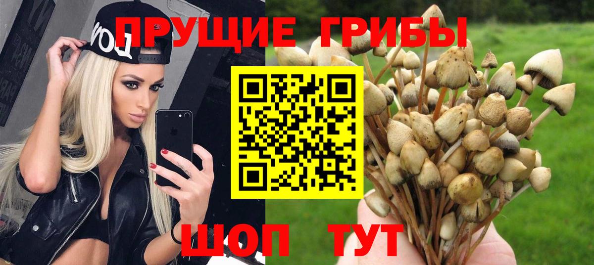 Галлюциногенные грибы мицелий Рузаевка